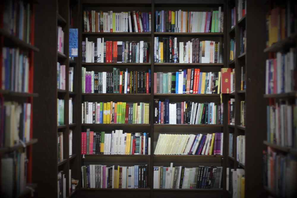Reading is essential for those who seek to rise above the Ordinary